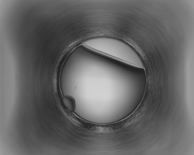 X0000116430442200912081224