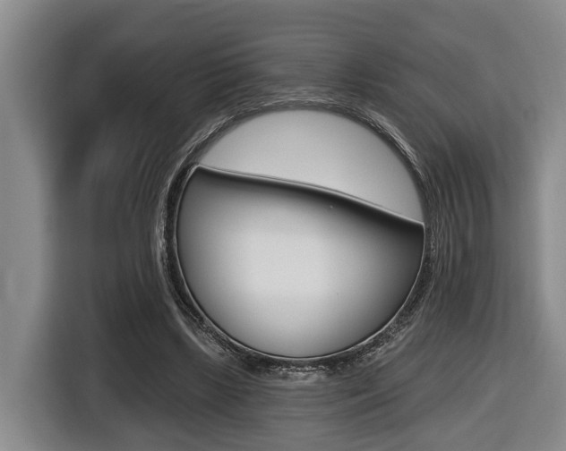 X0000116430443200912081224