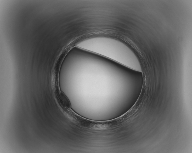 X0000116430444200912081224