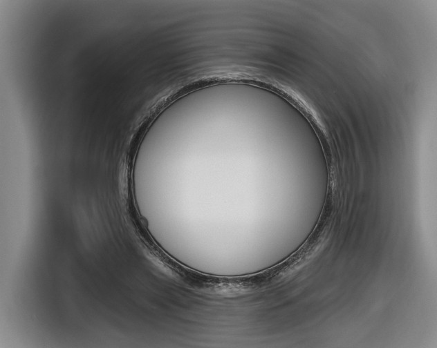 X0000116430445200912081224