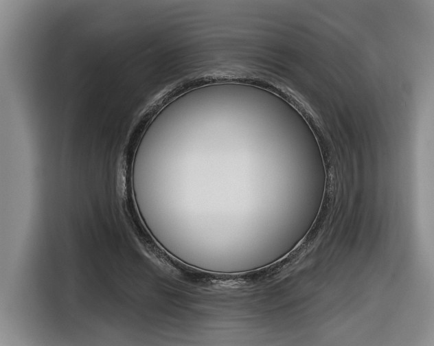 X0000116430446200912081224