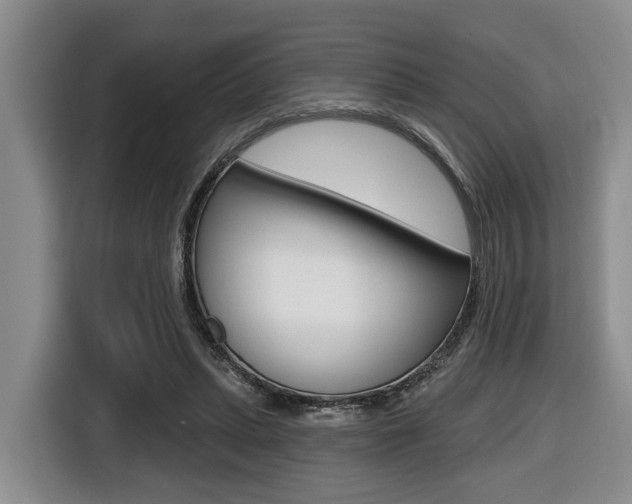 X0000116430447200912081224