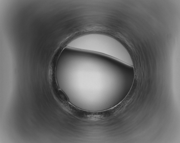 X0000116430448200912081224