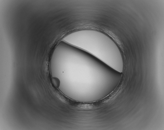 X0000116430449200912081224
