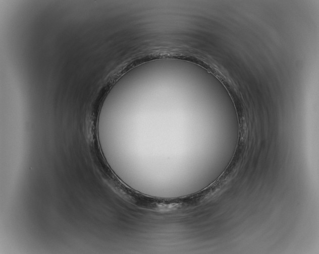 X0000116430450200912081224