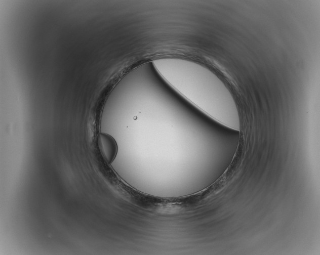 X0000116430451200912081224