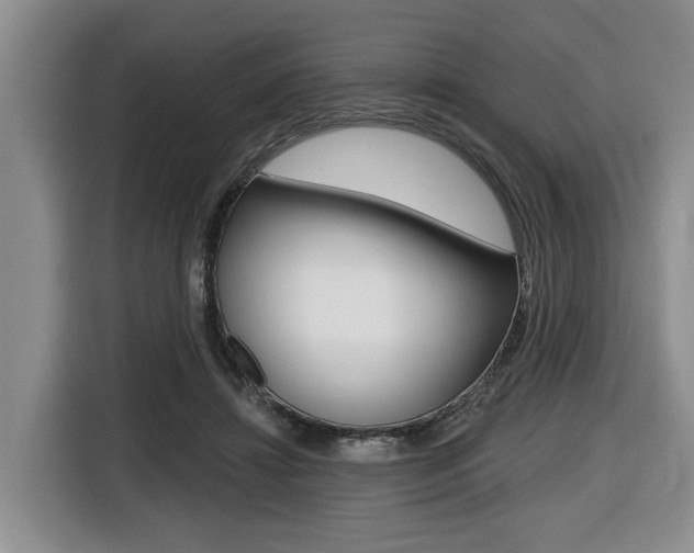 X0000116430452200912081224