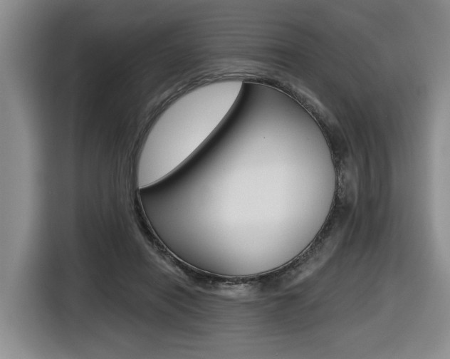 X0000116430454200912081224