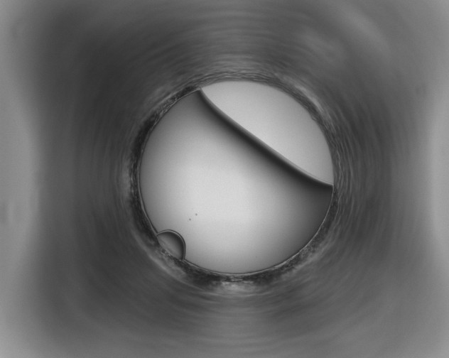 X0000116430455200912081224
