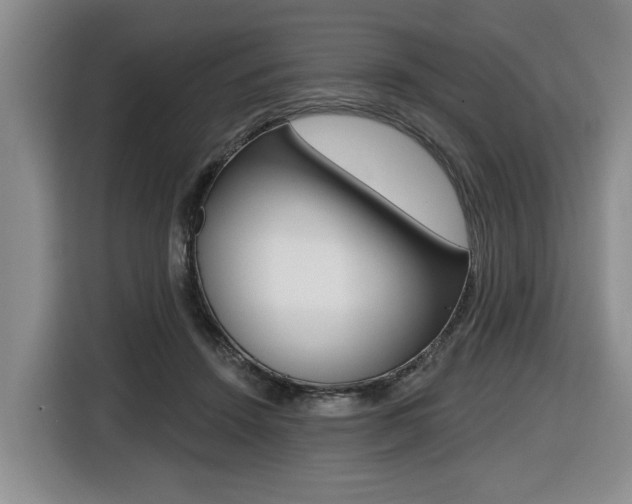 X0000116430456200912081224