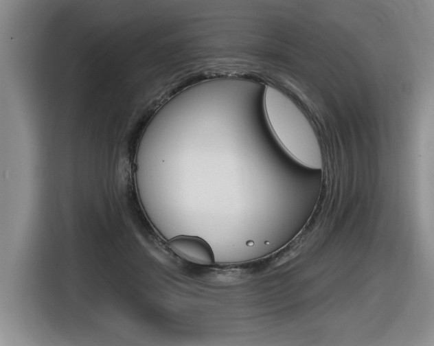 X0000116430459200912081224