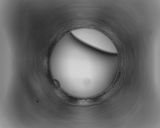 X0000116430461200912081224
