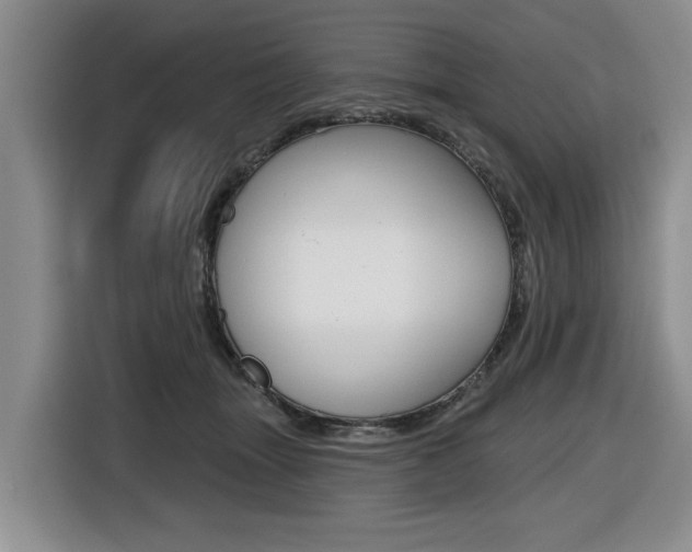 X0000116430463200912081224