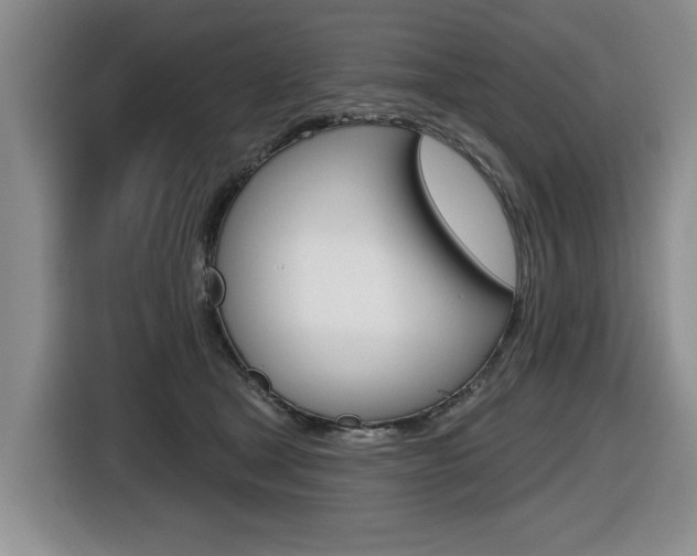 X0000116430465200912081224