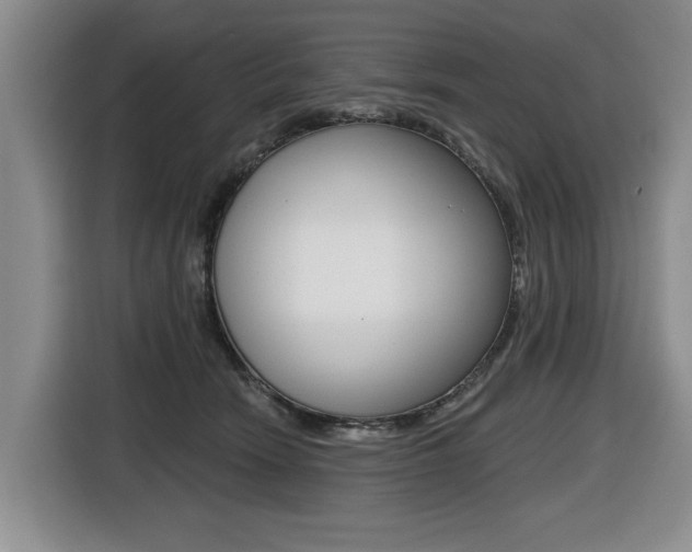 X0000116430466200912081224