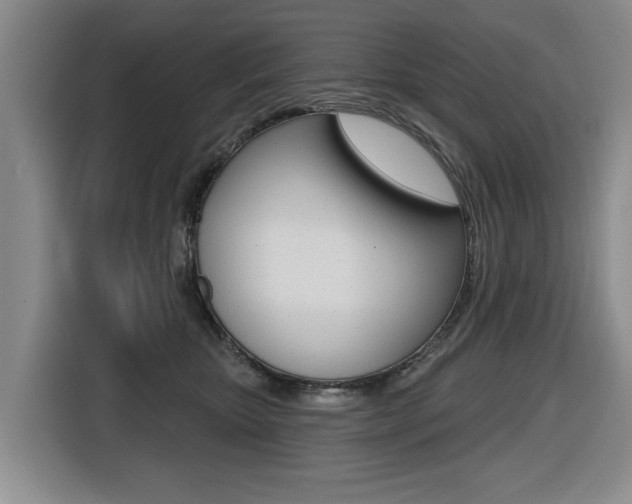 X0000116430467200912081224