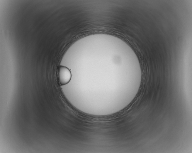 X0000116430470200912081224
