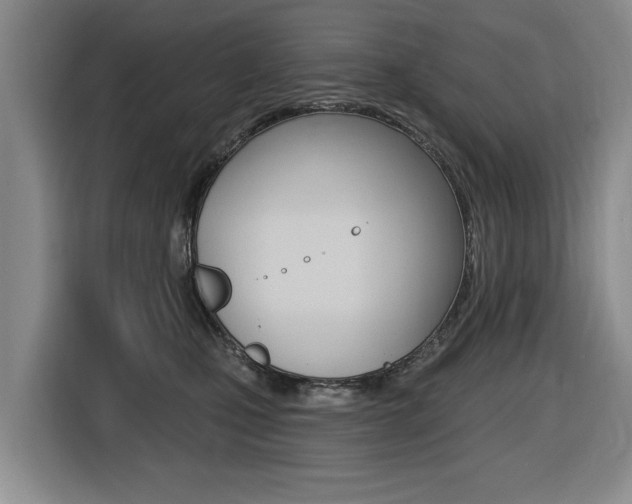 X0000116430471200912081224
