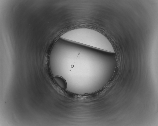 X0000116430472200912081224