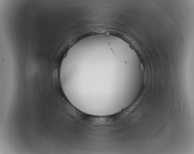 X0000116430473200912081224