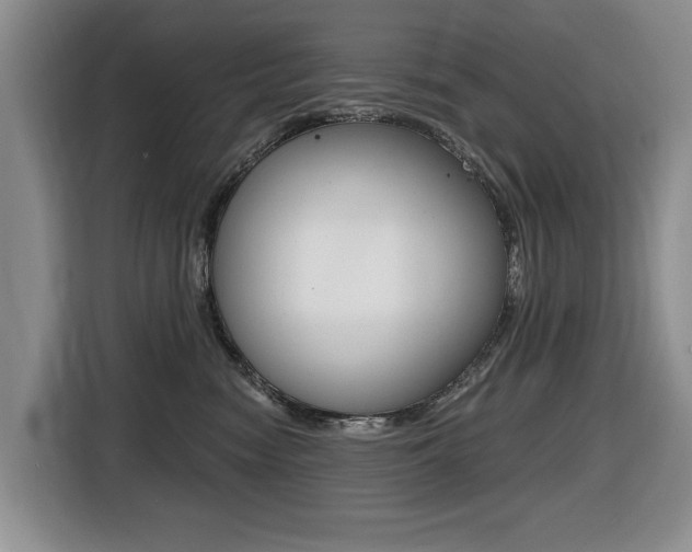 X0000116430474200912081224