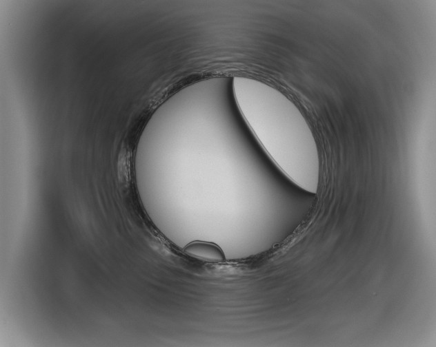 X0000116430475200912081224