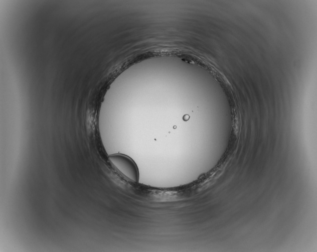 X0000116430476200912081224