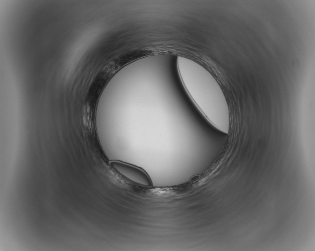 X0000116430477200912081224