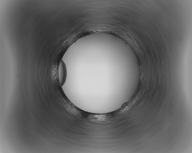 X0000116430478200912081224
