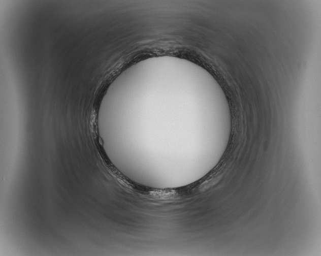 X0000116430480200912081224