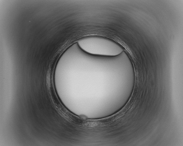 X0000116430482200912081223