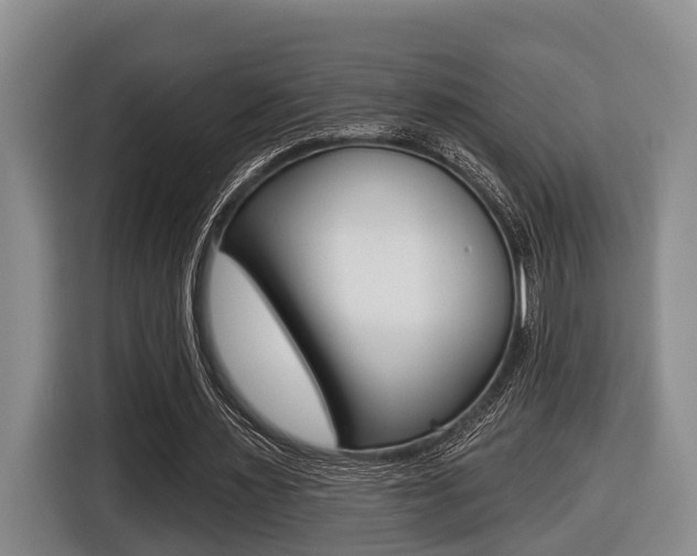 X0000116430483200912081223