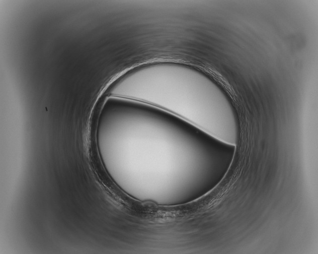 X0000116430484200912081223