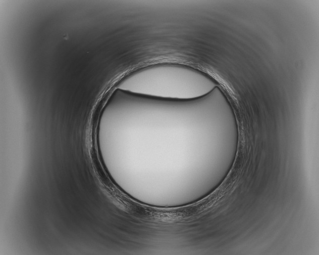 X0000116430486200912081223