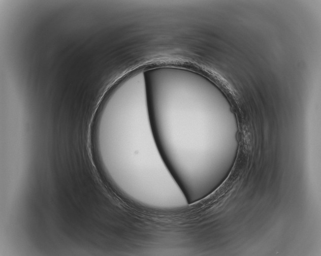 X0000116430487200912081223