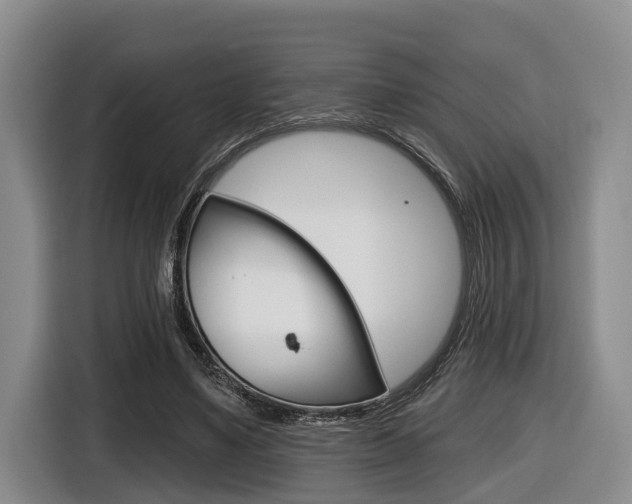 X0000116430491200912081223