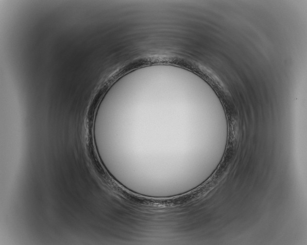 X0000116430494200912081223