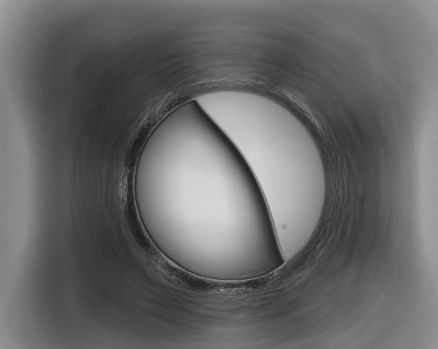 X0000116430495200912081223