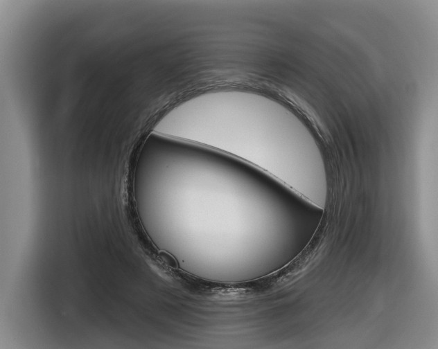 X0000116430497200912081223