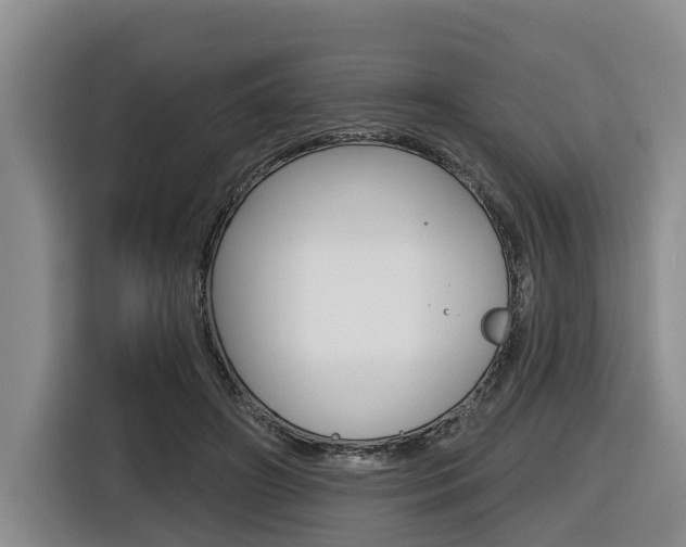 X0000116430498200912081223