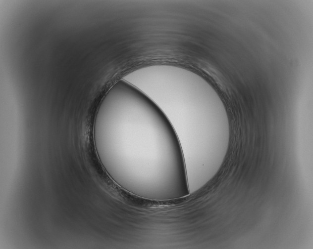 X0000116430499200912081223