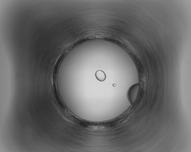 X0000116430500200912081223