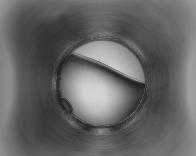 X0000116430501200912081223