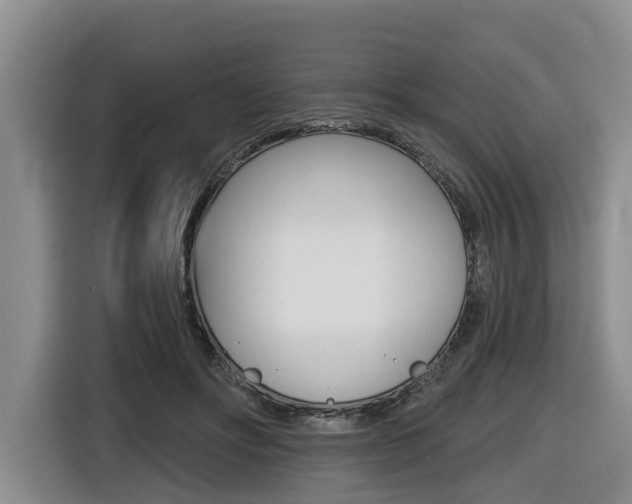 X0000116430502200912081223