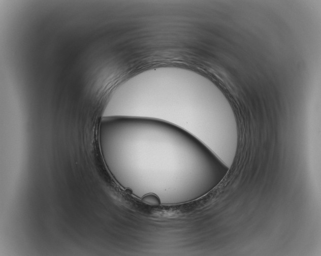 X0000116430503200912081223
