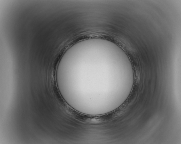 X0000116430506200912081223