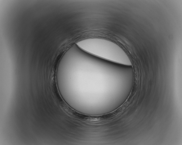 X0000116430507200912081223