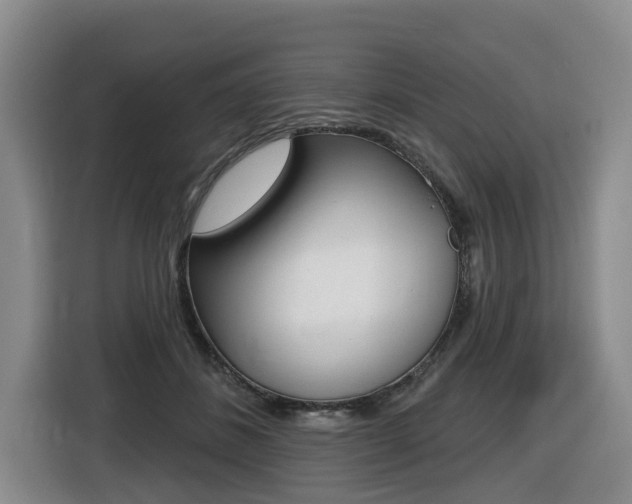 X0000116430508200912081223