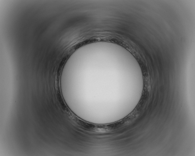 X0000116430510200912081223