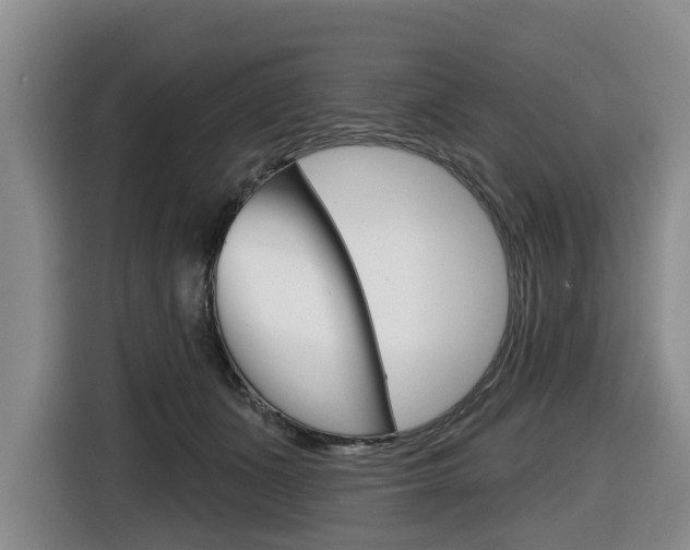 X0000116430511200912081223